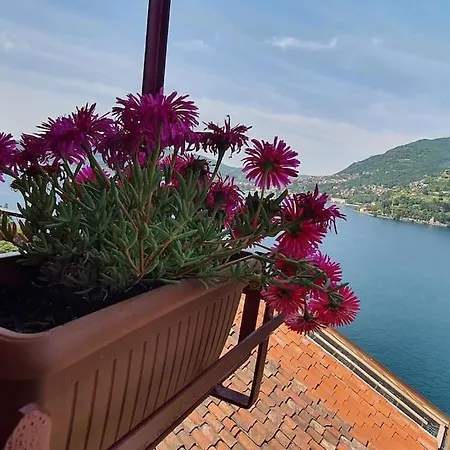 Dnart Holiday Apartament